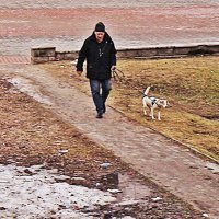 Утро 1 мая...с собачкой! :: Владимир 