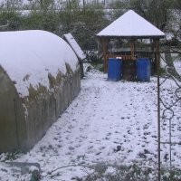 Майская зима :: Людмила Смородинская