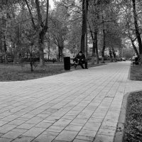 На лавочке в сквере :: Александр Синдерёв