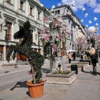 Лошадки Камергерского ,,,) :: Анатолий Колосов