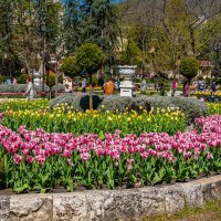 *** :: Дмитрий Лупандин *** :: Дмитрий Лупандин