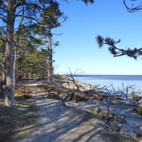 весна :: ИННА ПОРОХОВА