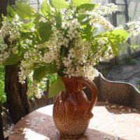 Весна. :: Венера Чуйкова