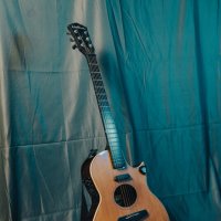 Washburn :: Soaring Man Владимир