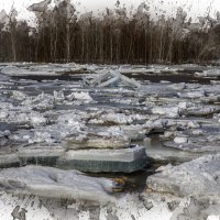 Ледоход. :: Георгий 