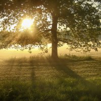 *** :: Андроник Александр 