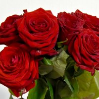 Розы. :: Наташа *****