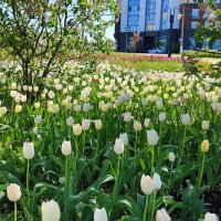 ,,, :: Сергей Тимоновский