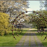 Проход в Весну... :: Aleksandr Gal