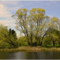 *** :: Aleksandr Gal *** :: Aleksandr Gal