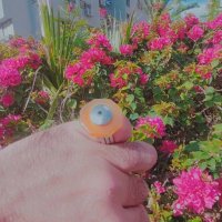 12  КЛОС (1087) :: CLOSE WAYS ALL