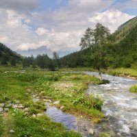 *** :: Сергей Лысенко