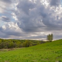 Холодный май... :: Владимир Жданов