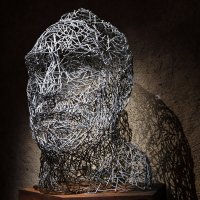 Голова из стальных стебель :: Георгий А