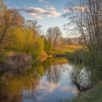 **** :: Елизавета .