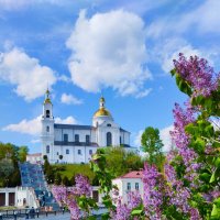 Сиреневый бум на подходе. :: Галина Бобкина