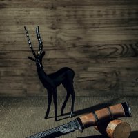 Охотничий :: владимир 