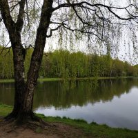 Сладкая парочка :: Андрей Лукьянов