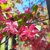 ,,, :: Сергей Тимоновский