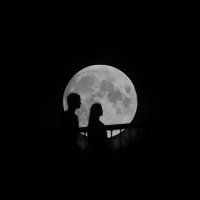 Влюблённые . :: Иван Реут