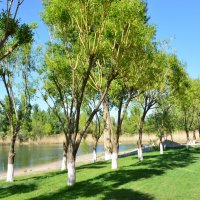 Весна. :: Виктор 