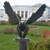 Птица) :: Митяй Митрич