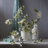 Майский натюрморт. :: Оксана Евкодимова