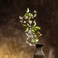 --- :: Алексей Чигвинцев