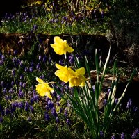 Весенние зарисовки 120 :: Алексей Кузнецов