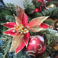 Цветок и шарик :: Дмитрий Никитин