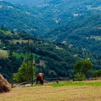КРАСИВЫЙ СЕЛЬСКИЙ ПЕЙЗАЖ :: Анатолий Малобродский КРАСИВЫЙ СЕЛЬСКИЙ ПЕЙЗАЖ :: Анатолий Малобродский