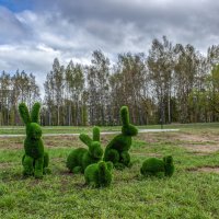 Семейное фото. :: Михаил "Skipper" Семейное фото. :: Михаил "Skipper"