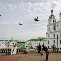 Вороны в деле. :: Виктор Орлов