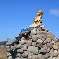 Московская область. г. Пушкино. Осетровая ферма. :: Наташа *****