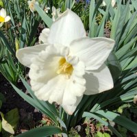 ,,, :: Сергей Тимоновский