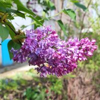 ,,, :: Сергей Тимоновский