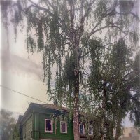 Старый Ковров. Уходящая натура :: AZ east3