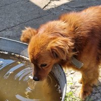 Водички попить... :: Наталья 