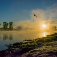 Туманный майский рассвет на Днепре. :: Sergey (Apg)