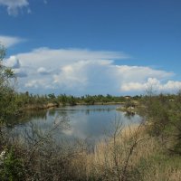 Местные зарисовки. :: Виктор 