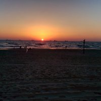 На закате солнца. :: Светлана Хращевская На закате солнца. :: Светлана Хращевская