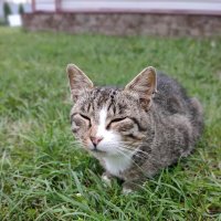 А расскажи ещё раз, как вы меня нашли. С самого начала. :: Валерий Судачок