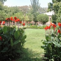 Парк в Вагаршапат :: Alexandra Sakharova