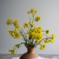 Букетик рапса :: Елена Пономарева