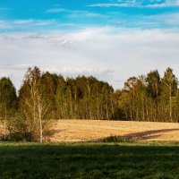 Вечер :: Александр 