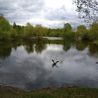 * * * :: Андрей Лукьянов