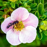 Весна :: Виктор Орехов