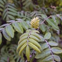 Молоденький :: Валерий Иванович