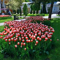 *** :: Игорь Kуленко