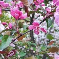 ,,, :: Сергей Тимоновский